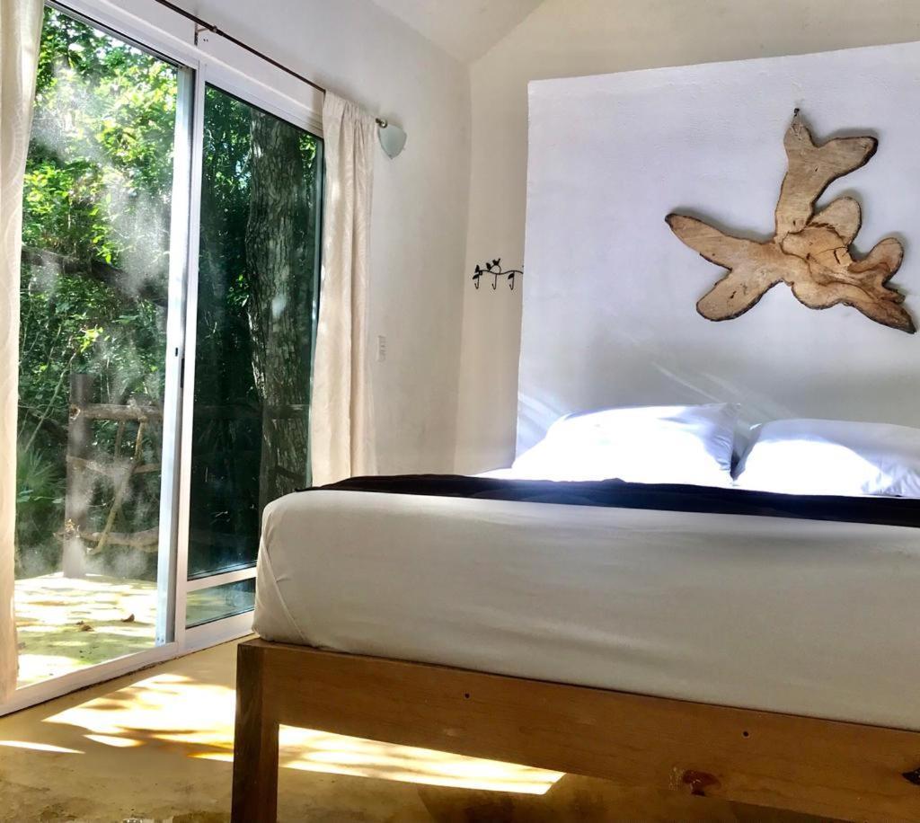 Jolie Jungle Eco Hotel (Adults Only) Leona Vicario Exteriér fotografie